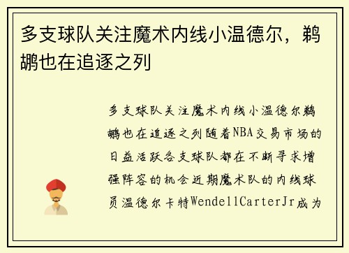 多支球队关注魔术内线小温德尔，鹈鹕也在追逐之列