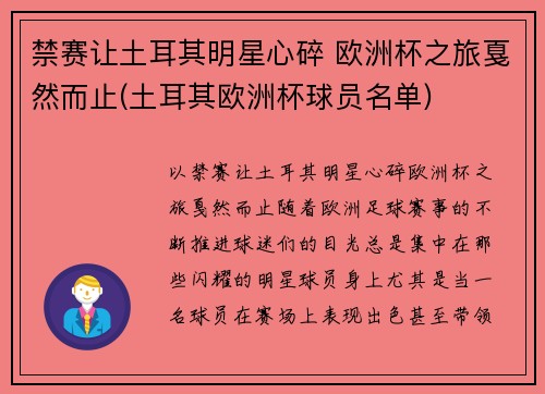 禁赛让土耳其明星心碎 欧洲杯之旅戛然而止(土耳其欧洲杯球员名单)