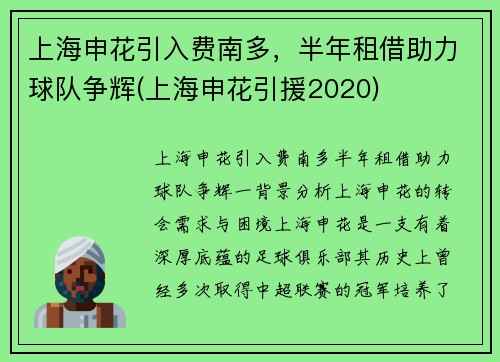 上海申花引入费南多，半年租借助力球队争辉(上海申花引援2020)